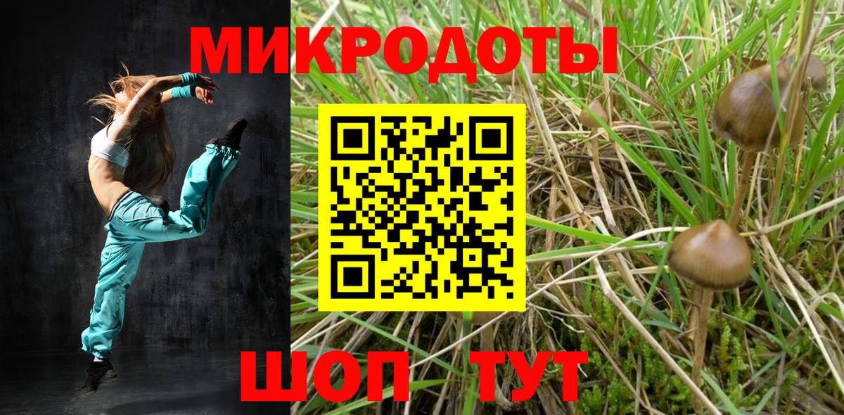 Лениногорск  купить закладку  Вход с VPN  Псилоцибиновые грибы Psilocybine cubensis 